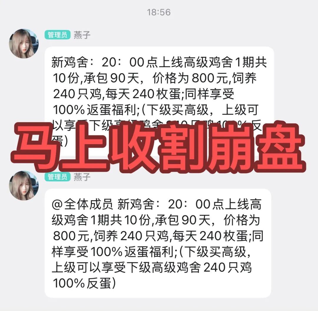 原文相关图片1